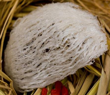 阳山燕窝回收商家在哪