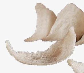 中山燕窝回收价格多少钱