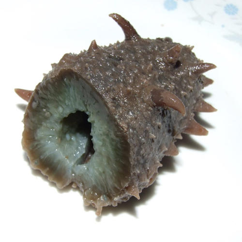 惠州海参回收-惠州哪里回收海参