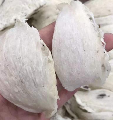 石歧燕窝回收价格多少钱