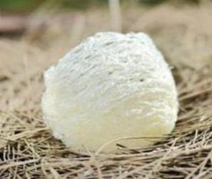 黄圃燕窝回收商家在哪