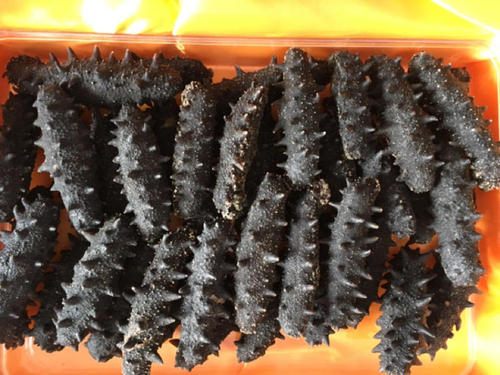 麻涌海参回收-麻涌回收海参多少钱