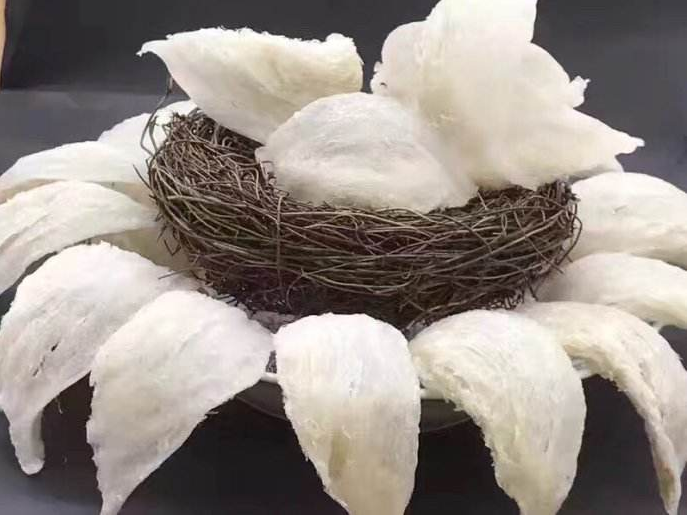 沙田燕窝回收多少钱一盒