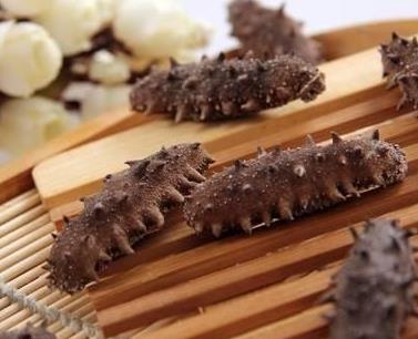 金湾高价海参回收行情