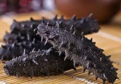 香洲海参回收商家在哪