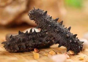 吉大商家上门海参回收