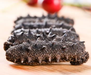 拱北专业海参回收商家报价