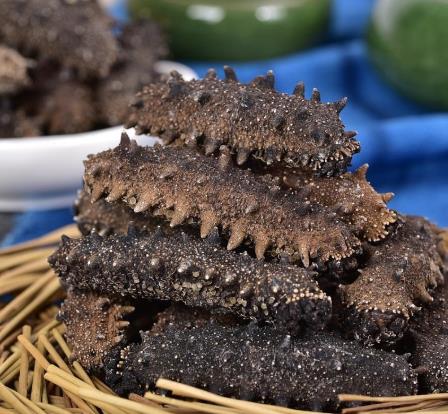 拱北海参回收价格多少钱