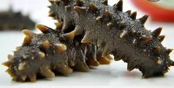 洪梅海参回收多少钱