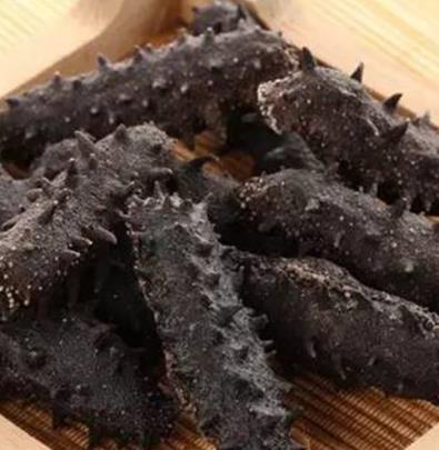 拱北商家上门海参回收