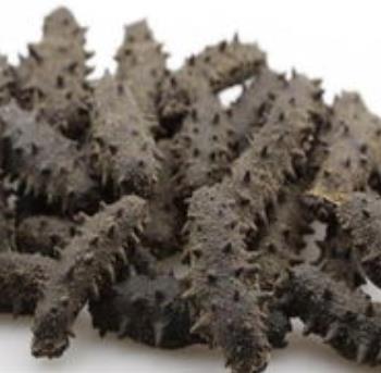 拱北海参回收商家在哪