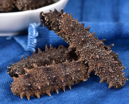 前山长期海参回收价格