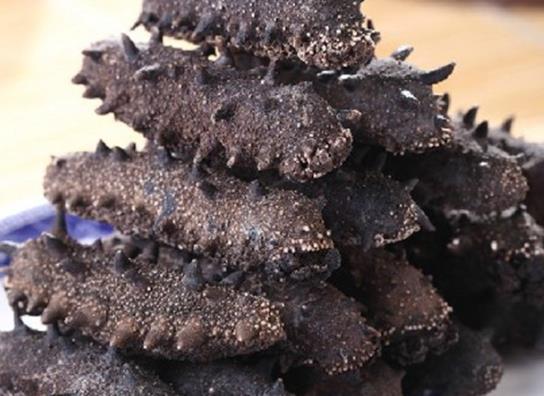 前山海参回收商家报价