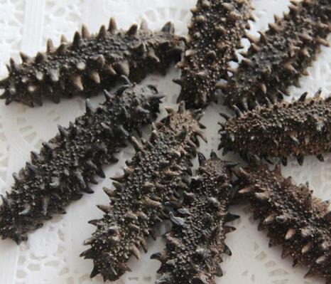 前山专业海参回收商家报价