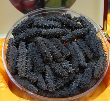 河源海参回收商家在哪