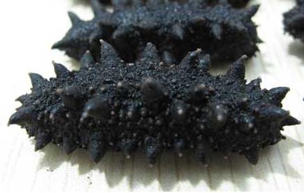 河源上门海参回收商家价格如何