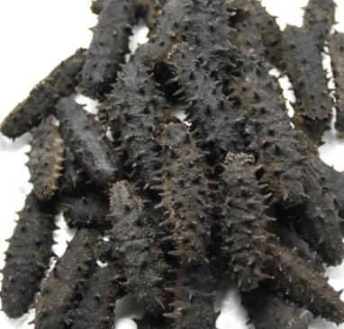 源城海参回收商家报价