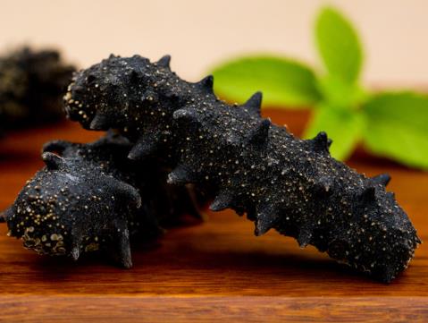 源城高价海参回收行情