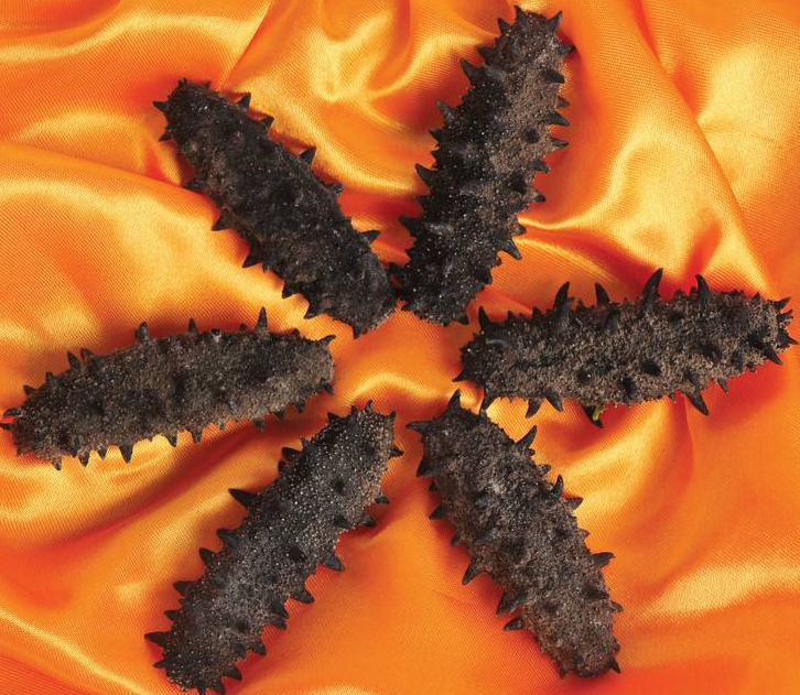 石歧海参回收价格多少钱