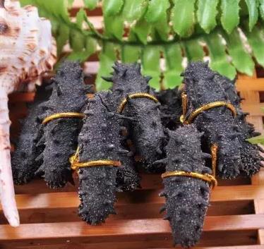 紫金高价海参回收行情