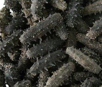 紫金专业海参回收商家报价