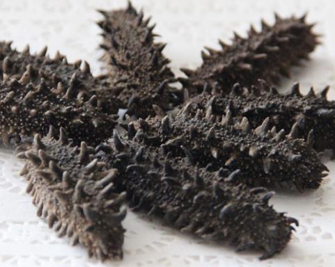 紫金海参回收价格多少钱