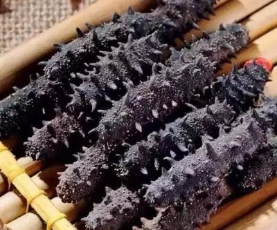 龙川海参回收商家报价