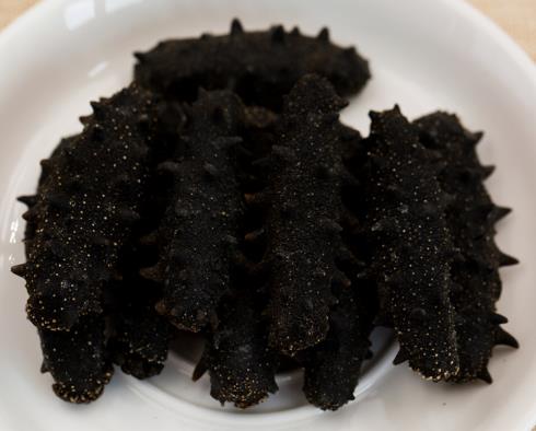 连平海参回收商家在哪