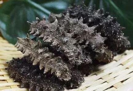 和平海参回收价格多少钱