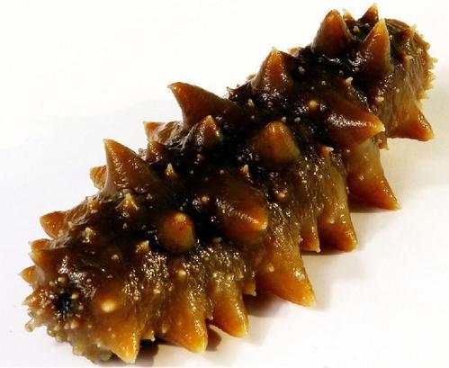 樟木头海参回收-樟木头回收海参价格