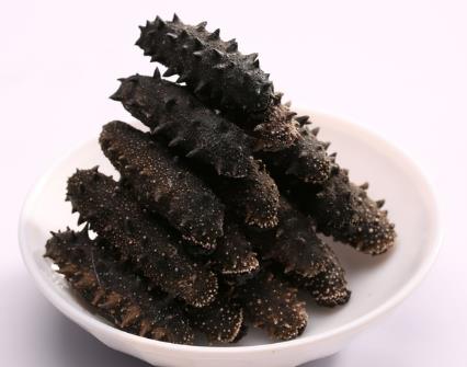 东源商家上门海参回收