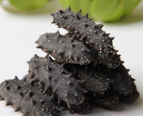 清远海参回收价格