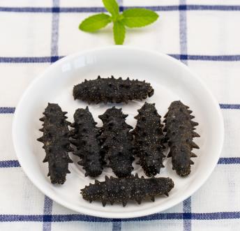 清远长期海参回收店铺