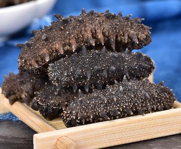 清远商家长期海参回收价格