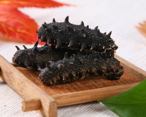 清远商家专业海参回收报价