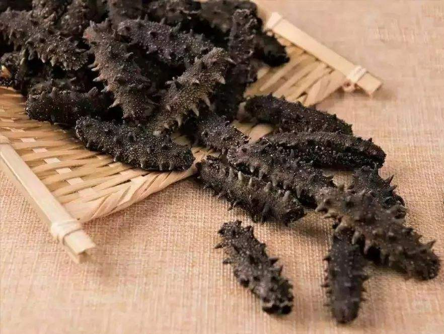 现在南区海参回收多少钱