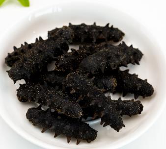 清远商家长期海参回收报价