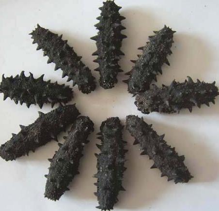 清远海参回收价格行情怎么样