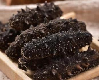 清远商家大量海参回收价格如何