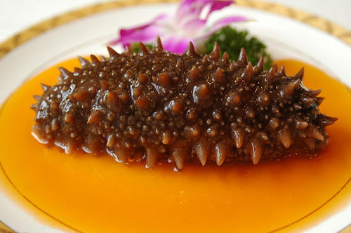 南城海参回收-南城哪里回收海参