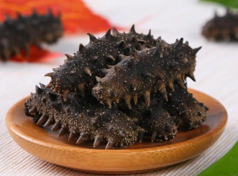 清城海参回收商家报价