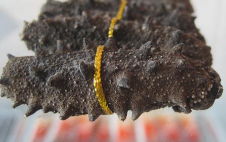 清城专业海参回收商家报价