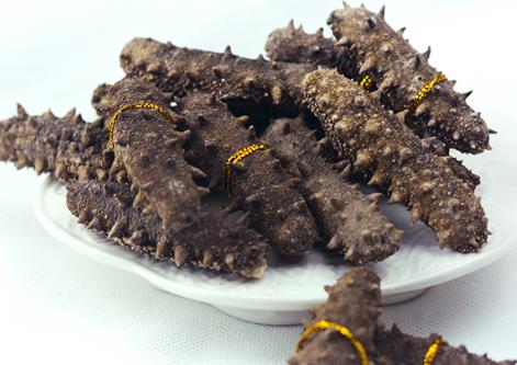 清城海参回收商家在哪