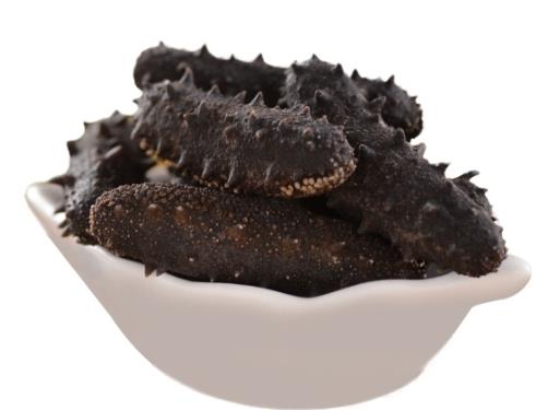 英德海参回收商家报价