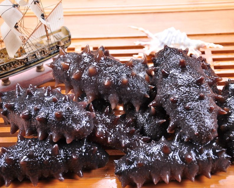 南头海参回收行情怎么样