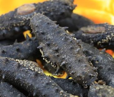 清西城区海参回收价格多少钱