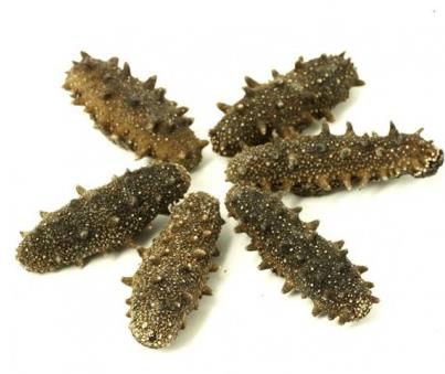 佛冈高价海参回收行情