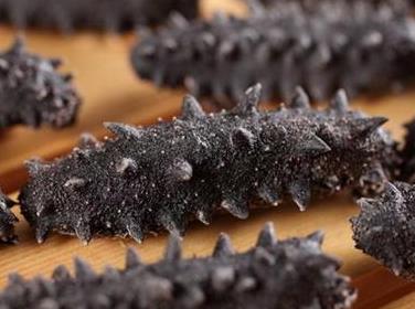 阳山高价海参回收行情