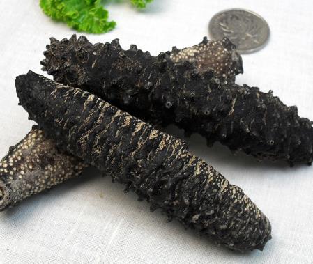 连山专业海参回收商家报价