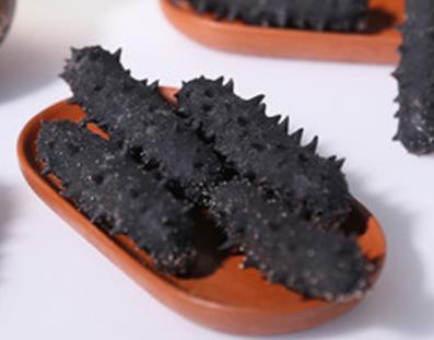 连山海参回收价格多少钱